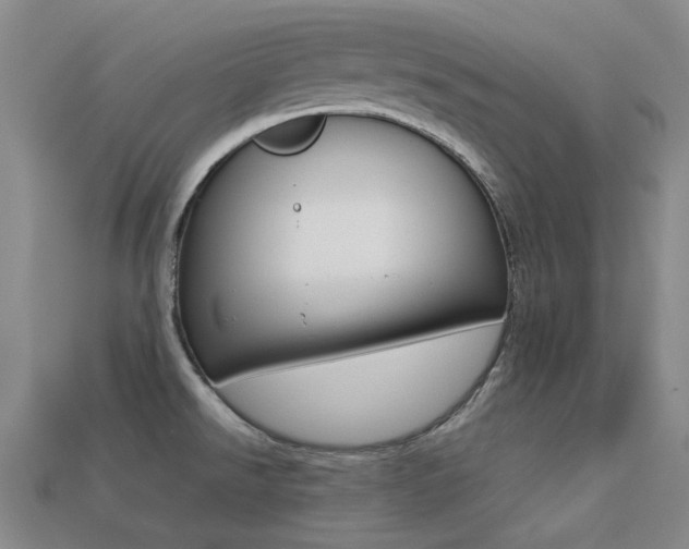 X0000113261526200909101239