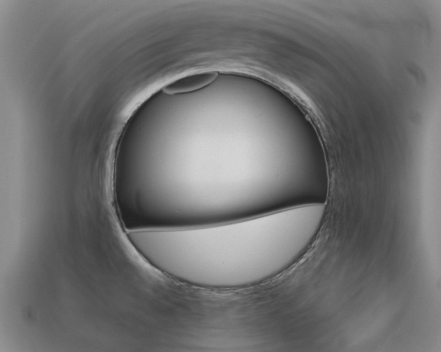 X0000113261528200909101239
