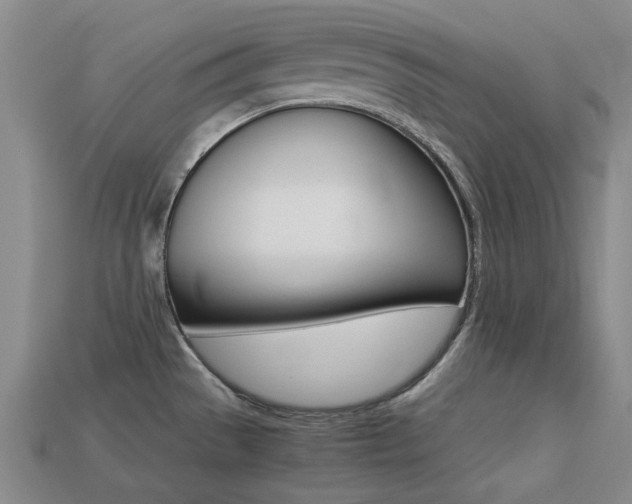 X0000113261529200909101239