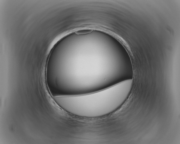 X0000113261530200909101239