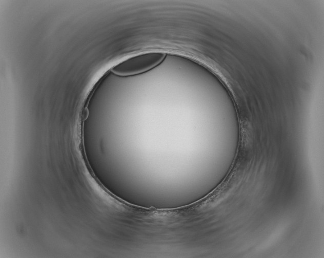 X0000113261531200909101239