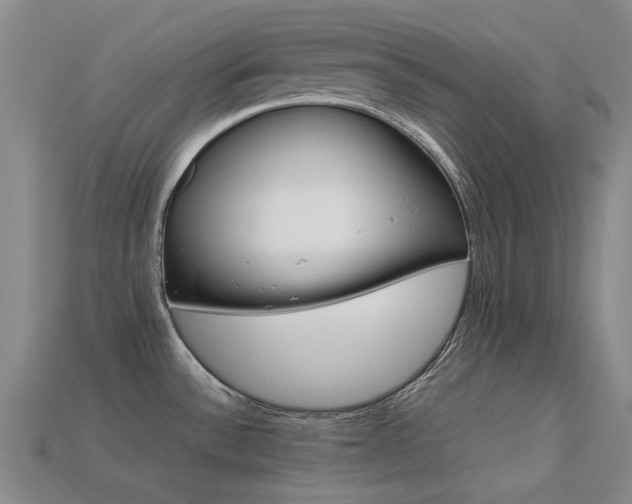 X0000113261532200909101239