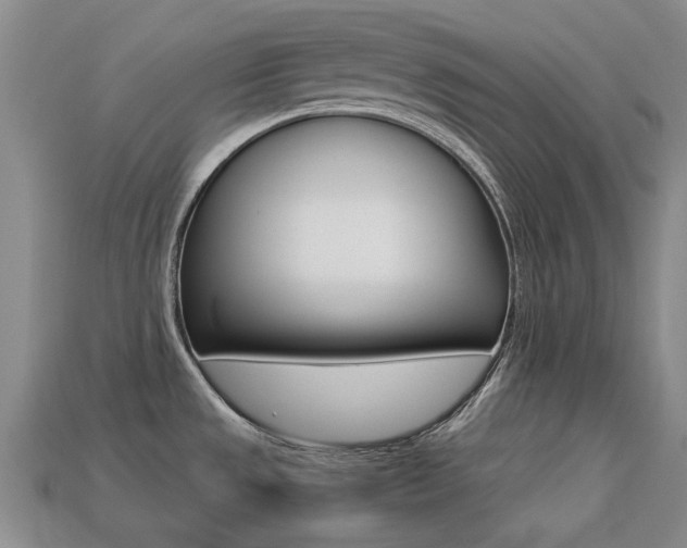 X0000113261533200909101239