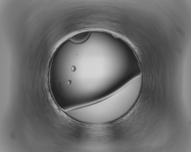 X0000113261534200909101239