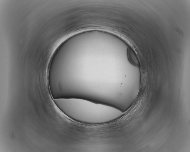 X0000113261535200909101239