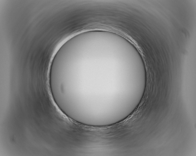 X0000113261536200909101239