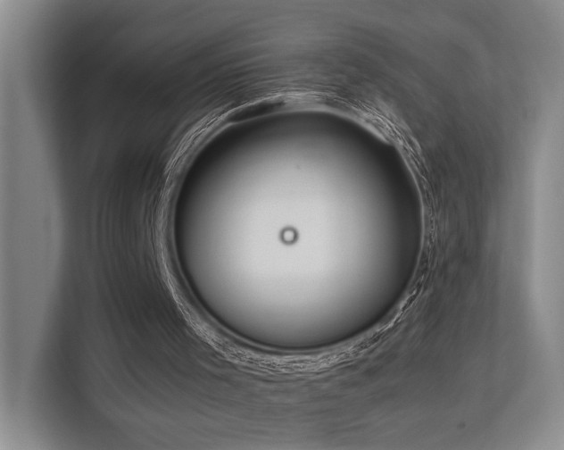 X0000113260001200909101508