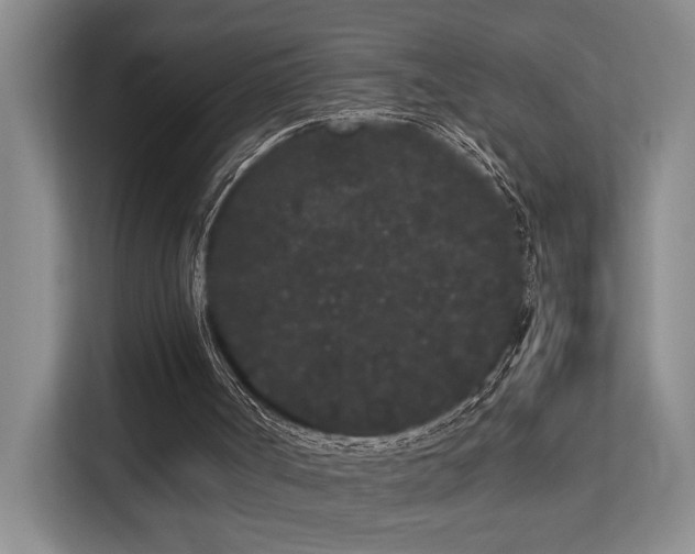 X0000113260002200909101508