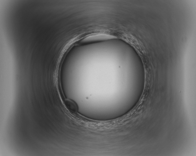 X0000113260003200909101508