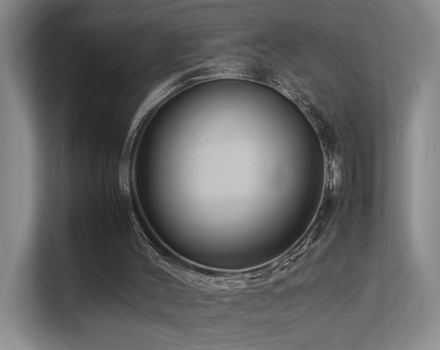 X0000113260004200909101508