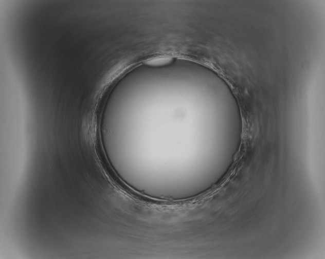 X0000113260005200909101508