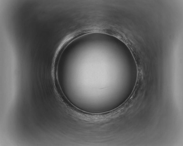 X0000113260006200909101508