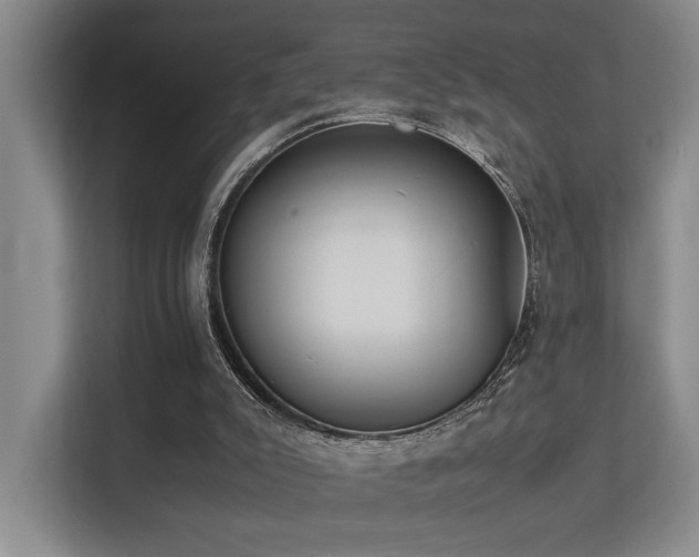 X0000113260007200909101508