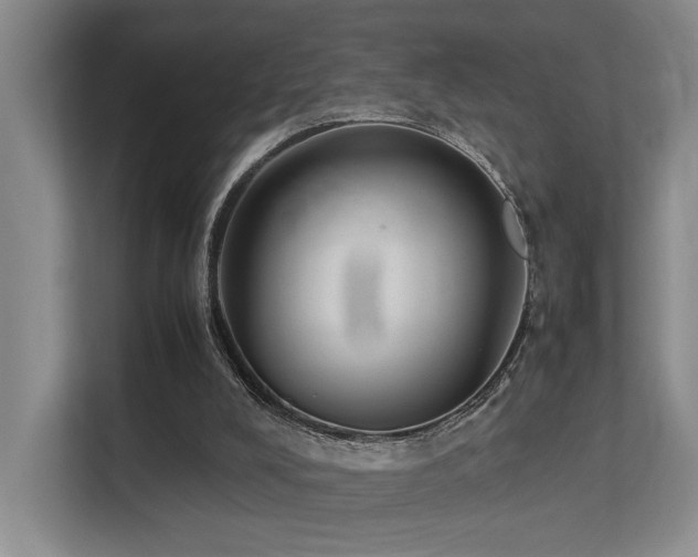 X0000113260008200909101508