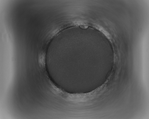 X0000113260009200909101508