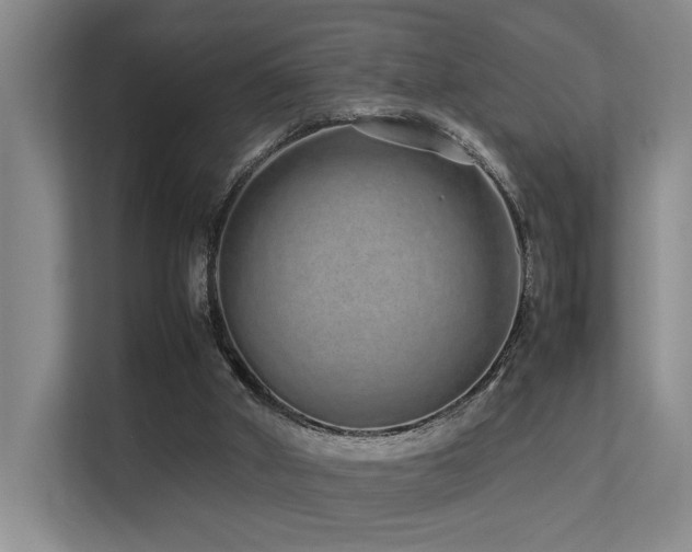 X0000113260010200909101508