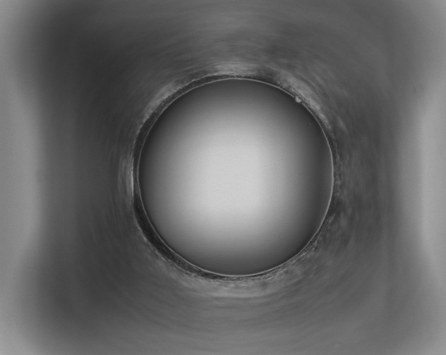 X0000113260011200909101508