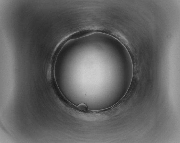 X0000113260012200909101508