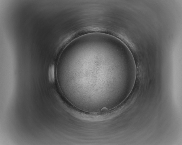 X0000113260014200909101508