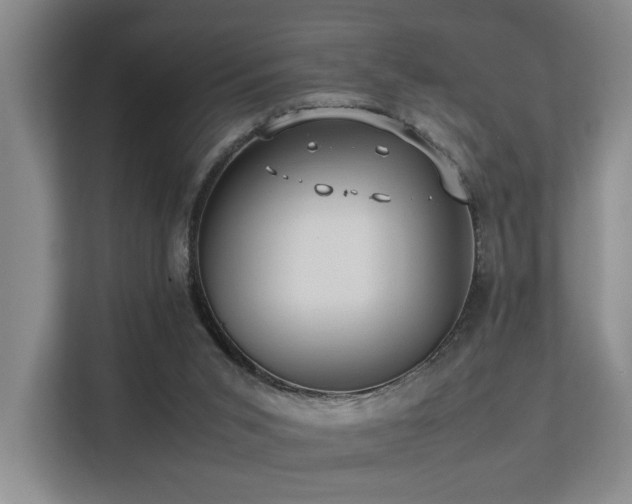 X0000113260015200909101508