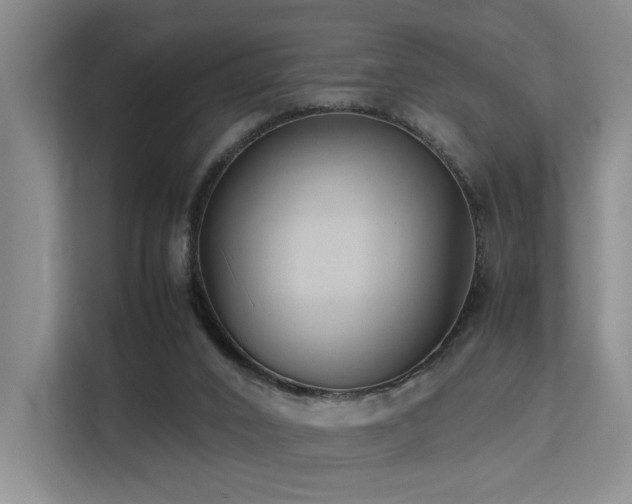 X0000113260016200909101508