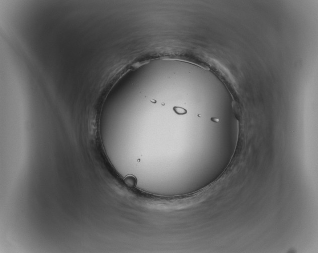 X0000113260017200909101508