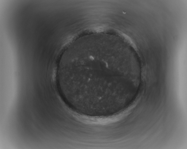 X0000113260018200909101508