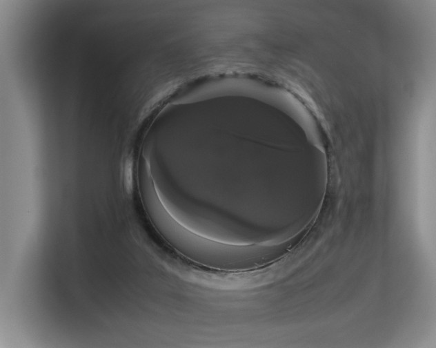 X0000113260019200909101508