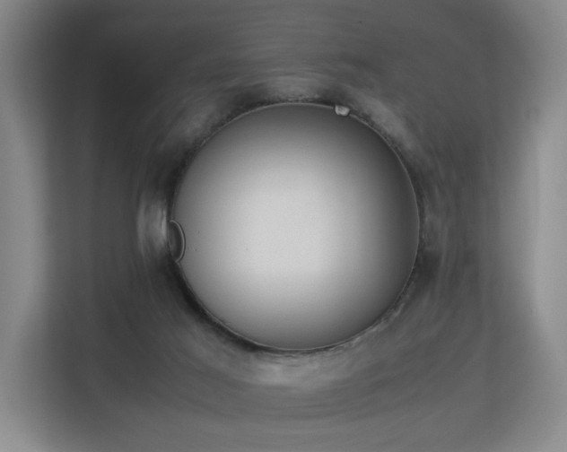 X0000113260021200909101508