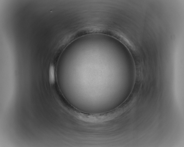 X0000113260022200909101508