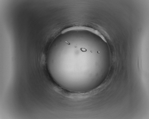 X0000113260025200909101508