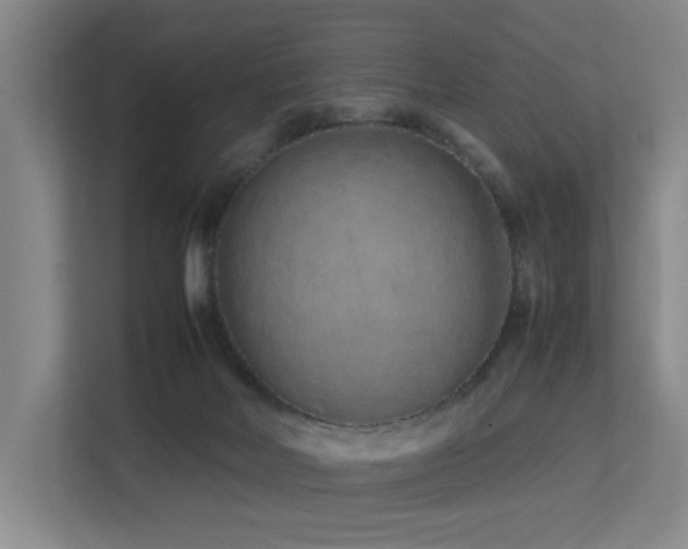 X0000113260026200909101508