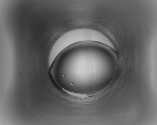 X0000113260027200909101508