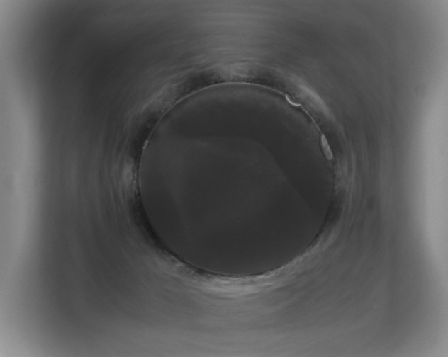 X0000113260029200909101508