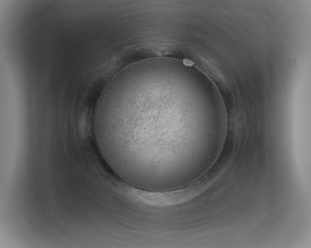 X0000113260030200909101508