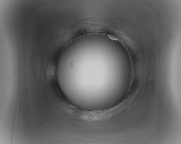 X0000113260033200909101508