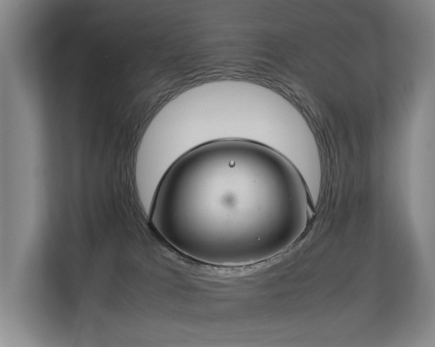 X0000113260037200909101508