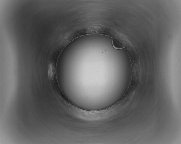 X0000113260038200909101508