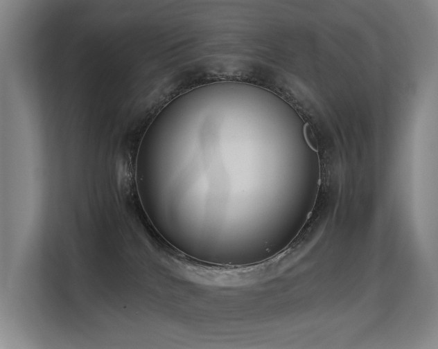 X0000113260040200909101508