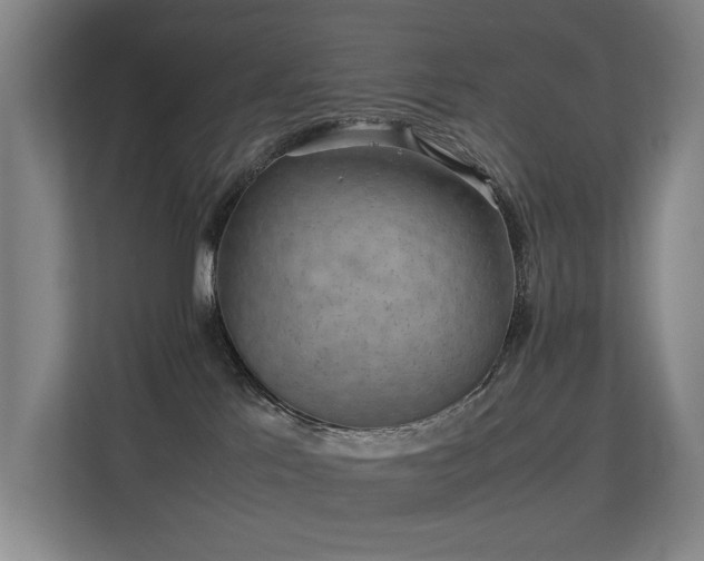 X0000113260041200909101508