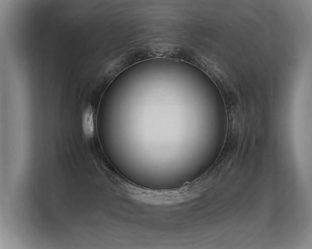 X0000113260042200909101508