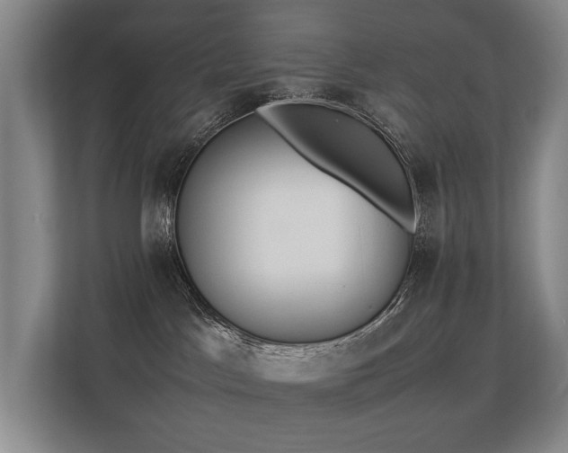 X0000113260045200909101508