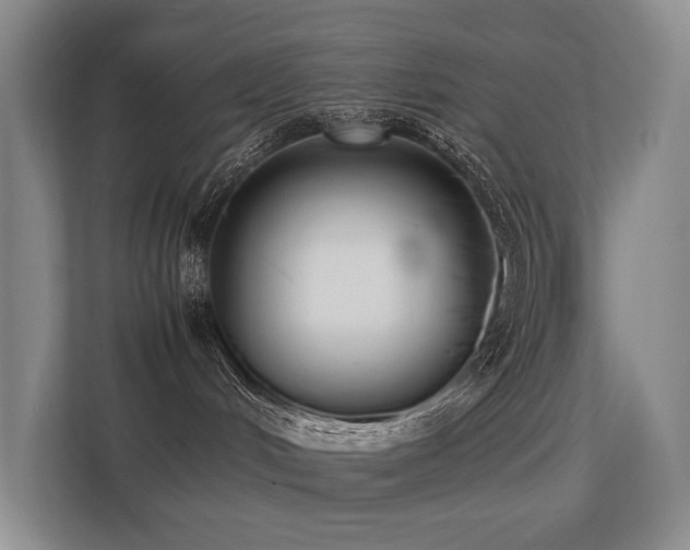 X0000113260048200909101508