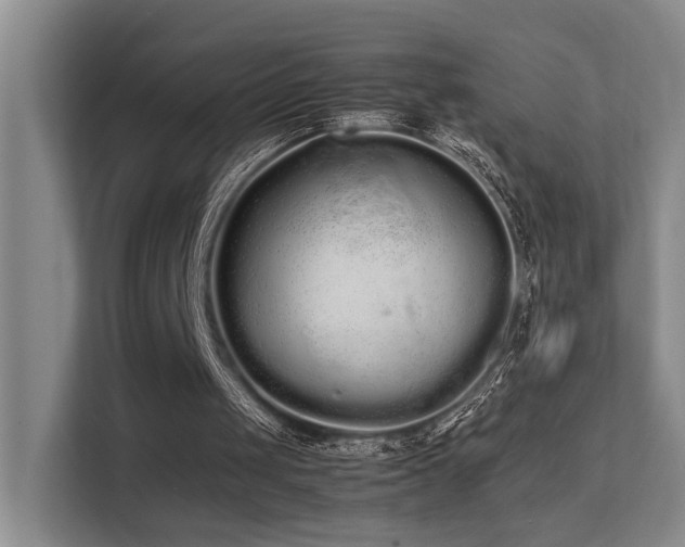 X0000113260049200909101507