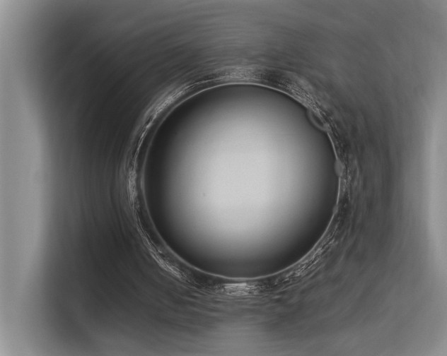 X0000113260050200909101507