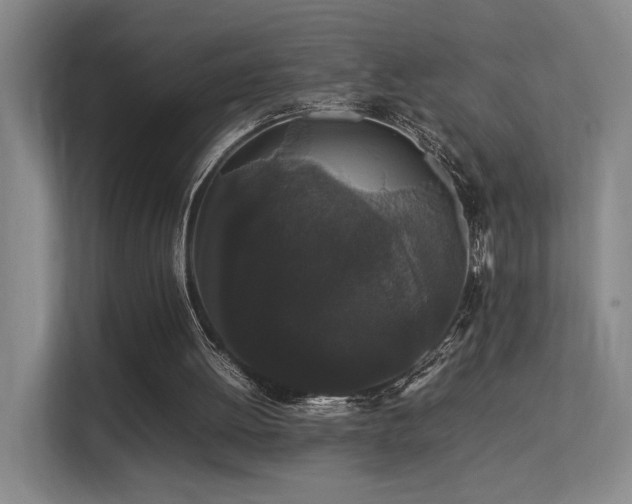 X0000113260052200909101507