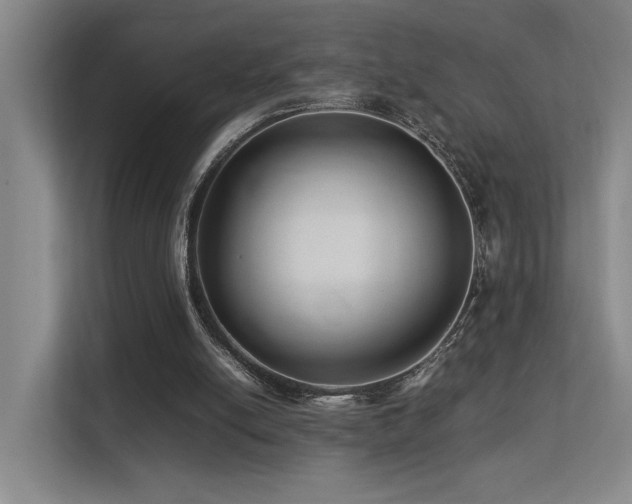 X0000113260054200909101507