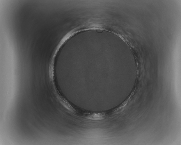 X0000113260056200909101507