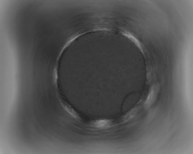 X0000113260059200909101507