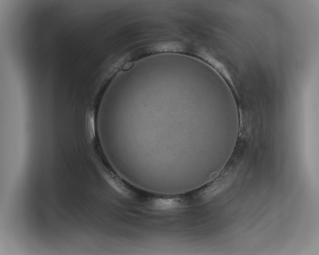 X0000113260061200909101507